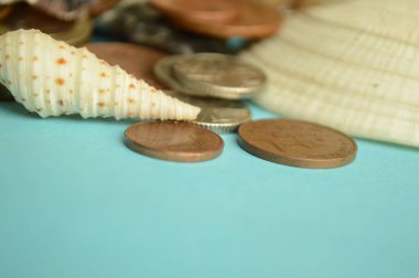 euro coins and shells