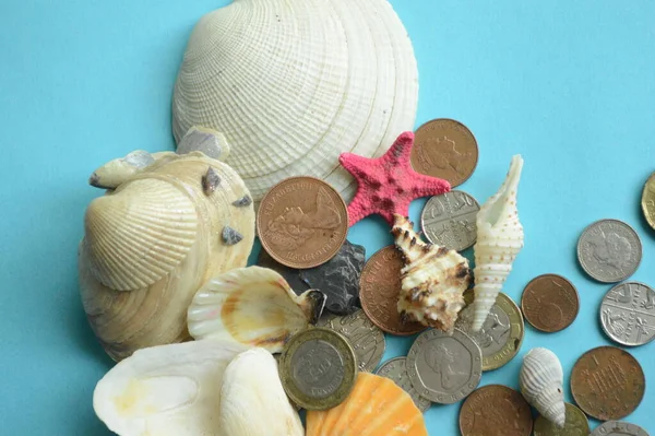 euro coins and shells