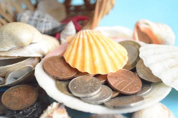 euro coins and shells