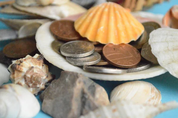 euro coins and shells