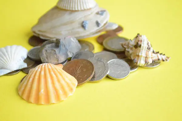 sea shells and money