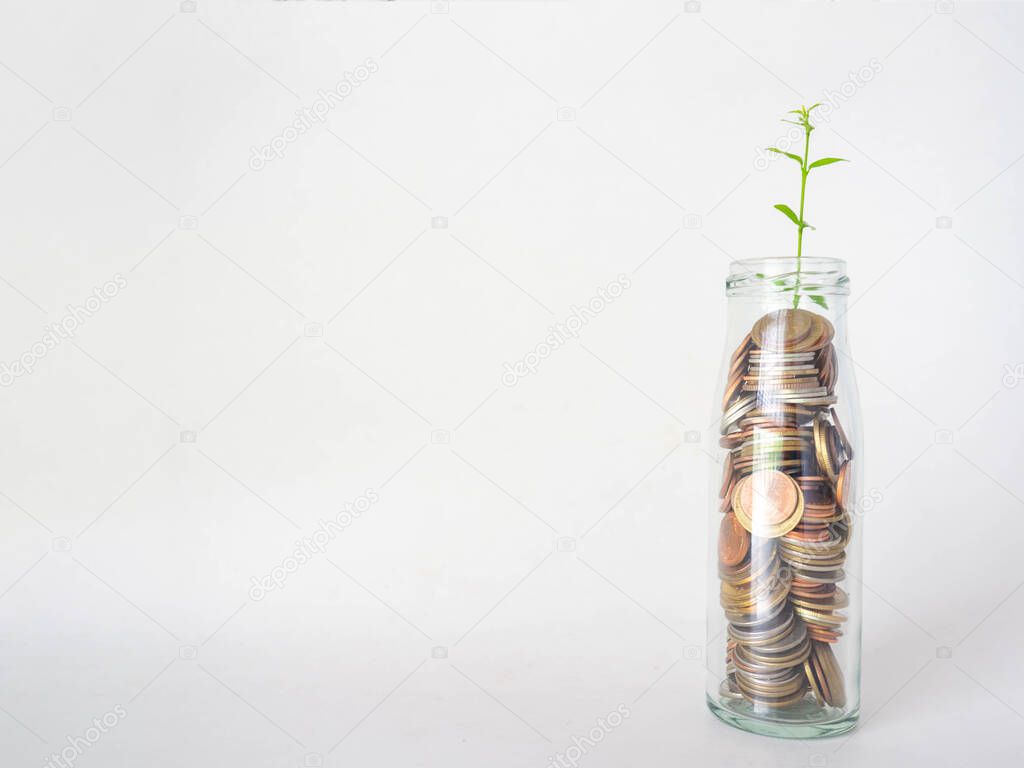 Put your savings in a glass jar to save money. The growth of money with gold coins, and silver coins.White background