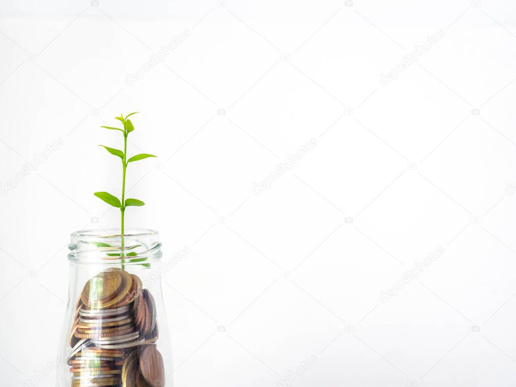 Put your savings in a glass jar to save money. The growth of money with gold coins, and silver coins.White background