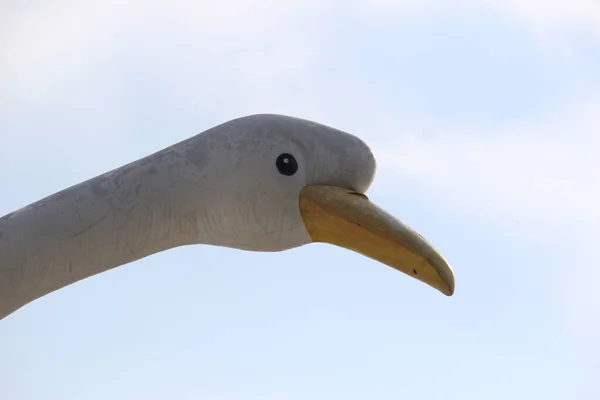 Uma Estátua Cisne Adequado Para Papel Parede — Fotografia de Stock