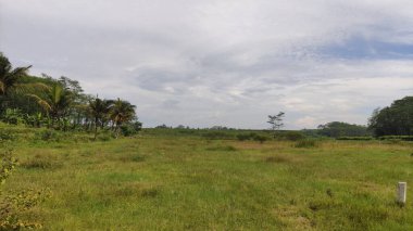 Geniş çayır, güzel dağ manzaralı ve serin