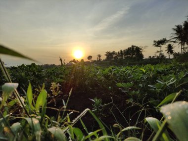 Pagak Vadisi 'nde gün batımı
