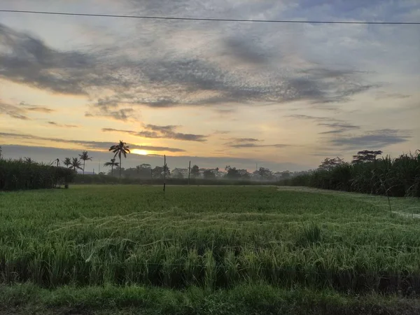 Coucher Soleil Dans Vallée Pagak Lever Soleil — Photo