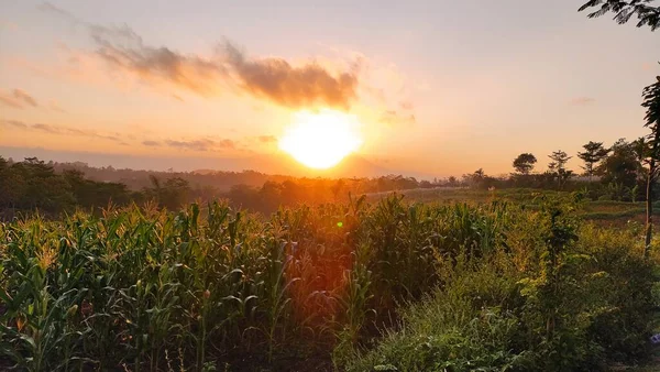 Sonnenuntergang Pagak Tal Sonnenaufgang — Stockfoto