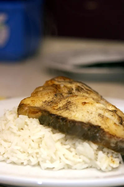 Haai biefstuk met rijst — Stockfoto