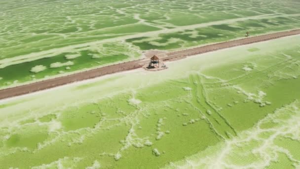 Zielone słone jezioro i pawilon plażowy, naturalne tło jeziora. — Wideo stockowe