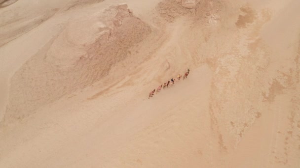 Tropa camello en paisaje de terreno erosión del viento, yardang landform. — Vídeo de stock