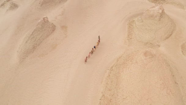 바람에 침식되어 가는 지형 위에 있는 낙타 부대, 안마당 지형. — 비디오