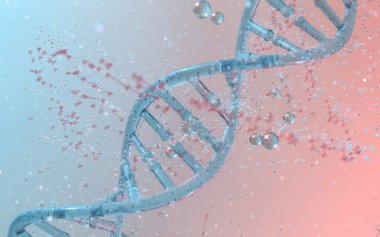 Bölme moleküllü DNA genomları yapısı, 3 boyutlu görüntüleme. Bilgisayar dijital çizimi.