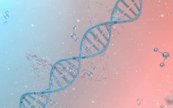 Dna Genomes Structure Division Molecule Rendering Computer Digital Drawing — Stock Photo, Image