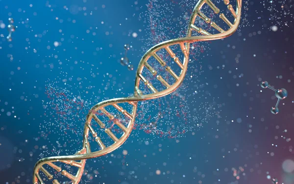 Dna Genomes Structure Division Molecule Rendering Computer Digital Drawing — Stock Photo, Image