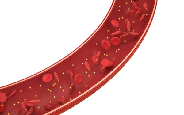 Glóbulos Rojos Vaso Sanguíneo Renderizado Dibujo Digital Informático —  Fotos de Stock