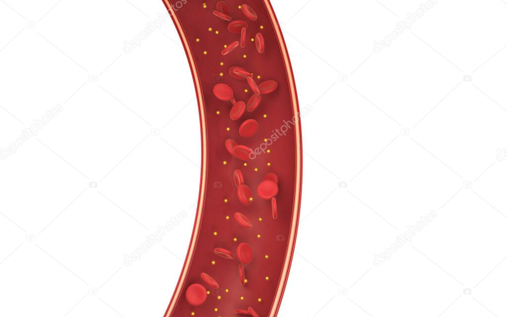 Red blood cells in the blood vessel, 3d rendering. Computer digital drawing.