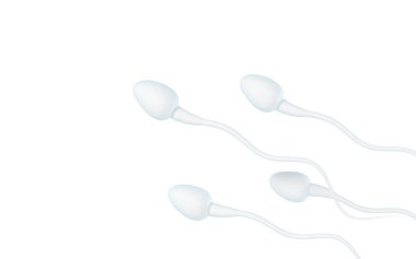 İnsan sperm hücreleri, 3 boyutlu görüntüleme. Bilgisayar dijital çizimi.