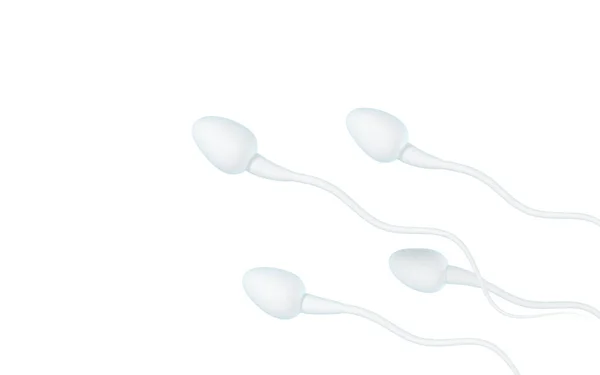 Mänskliga Spermieceller Återgivning Digitalritning — Stockfoto