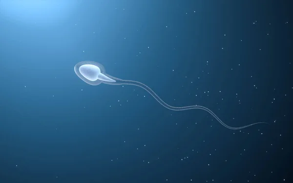 Cellule Spermatiche Umane Rendering Disegno Digitale Del Computer — Foto Stock