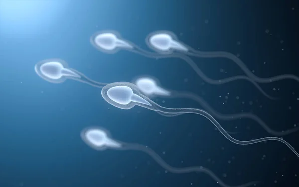 Cellule Spermatiche Umane Rendering Disegno Digitale Del Computer — Foto Stock