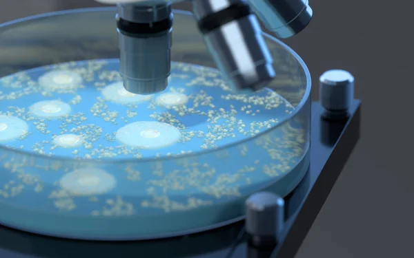 Микробы Чашке Петри Рендеринг Цифровой Рисунок — стоковое фото