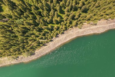 Bulutsuz bir günde nehir ve ağaçlar. Xinjiang, Çin 'de çekildi..