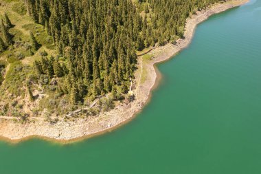 Bulutsuz bir günde nehir ve ağaçlar. Xinjiang, Çin 'de çekildi..