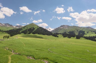 Mavi gökyüzü olan Nalati otlağı. Çin, Xinjiang 'da çekildi..