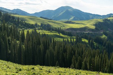 Dağlar ve orman gökyüzü manzaralı. Xinjiang, Çin 'de çekildi..