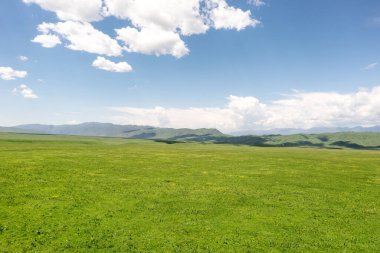 Mavi gökyüzü olan Nalati otlağı. Çin, Xinjiang 'da çekildi..