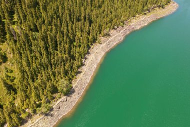 Bulutsuz bir günde nehir ve ağaçlar. Xinjiang, Çin 'de çekildi..
