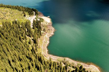 Bulutsuz bir günde nehir ve ağaçlar. Xinjiang, Çin 'de çekildi..