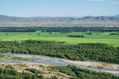 Güneşli bir günde otlaklar ve dağlar. Çin, Xinjiang 'da çekildi..