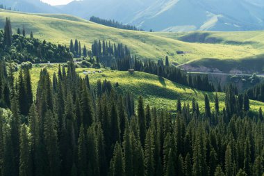 Dağlar ve orman gökyüzü manzaralı. Xinjiang, Çin 'de çekildi..
