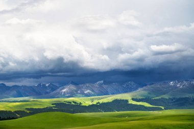 Otlaklar ve karlı dağ bulutlu bir günde. Çin, Xinjiang 'da çekildi..
