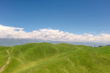 Mavi gökyüzü olan Nalati otlağı. Çin, Xinjiang 'da çekildi..