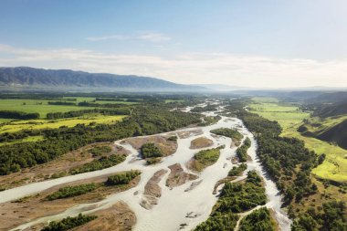 Güneşli bir günde çayır ve nehir. Çin, Xinjiang 'da çekildi..