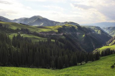 Bulutlu dağlarda. Xinjiang, Çin 'de çekildi..