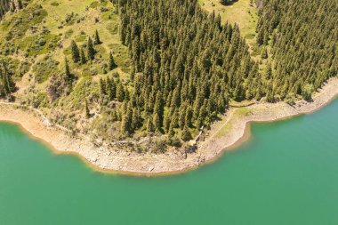 Bulutsuz bir günde nehir ve ağaçlar. Xinjiang, Çin 'de çekildi..
