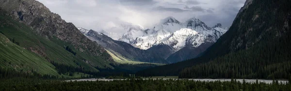 多云的天气里 多雪的高山和树木 中国新疆Khan Tengri山 — 图库照片