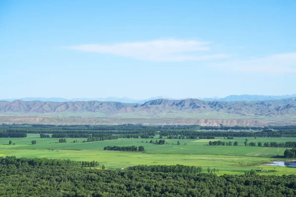 Füvek Hegyek Egy Napsütéses Napon Lelőtték Xinjiang Ban Kínában — Stock Fotó