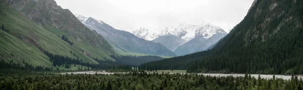 多云的天气里 多雪的高山和树木 Khan Tengri Mountain Shot Xinjiang China — 图库照片