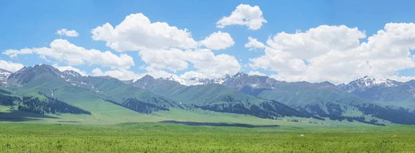 Nalati草原与蓝天 在中国新疆被枪杀 — 图库照片