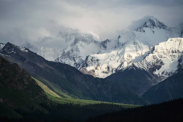 多云的天气里 多雪的高山和树木 中国新疆Khan Tengri山 — 图库照片