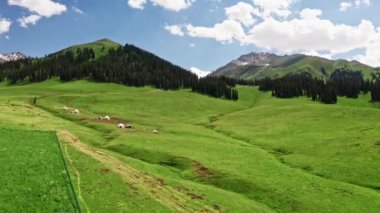 Nalati çayırları ve dağları güzel bir günde.