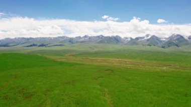 Dağlar ve çayırlar güneşli bir günde.