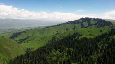 Geniş çayırlarda ve dağlarda güzel bir günde.