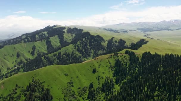 Obrovské pastviny a hory za pěkného dne. — Stock video