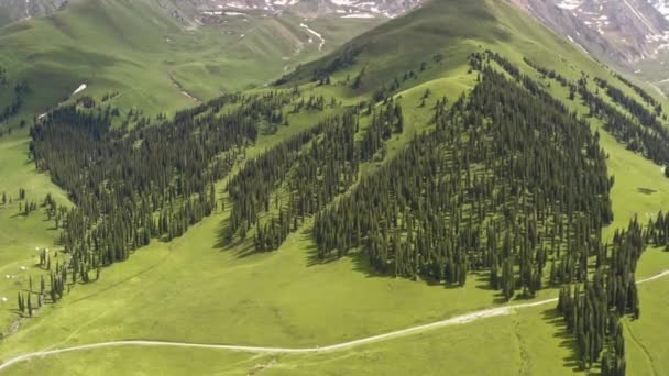 Prati e montagne Nalati in una bella giornata. — Video Stock